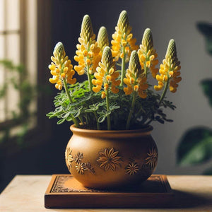 Flower Seeds, Seeds,Seeds For Planting,Plant Seeds