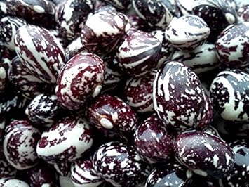 Vegetable Seeds,Garden seeds, Seeds For Planting,Plant Seeds