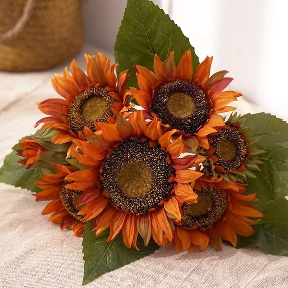 Brown Sunflower Flower Seeds for Planting – Heirloom, Non-GMO, Shade-Tolerant Garden Seeds