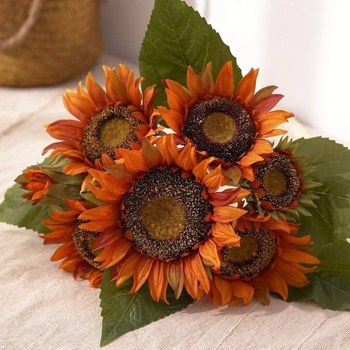 Brown Sunflower Flower Seeds for Planting – Heirloom, Non-GMO, Shade-Tolerant Garden Seeds