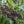 Herb Seeds,Garden seeds, Seeds For Planting,Plant Seeds