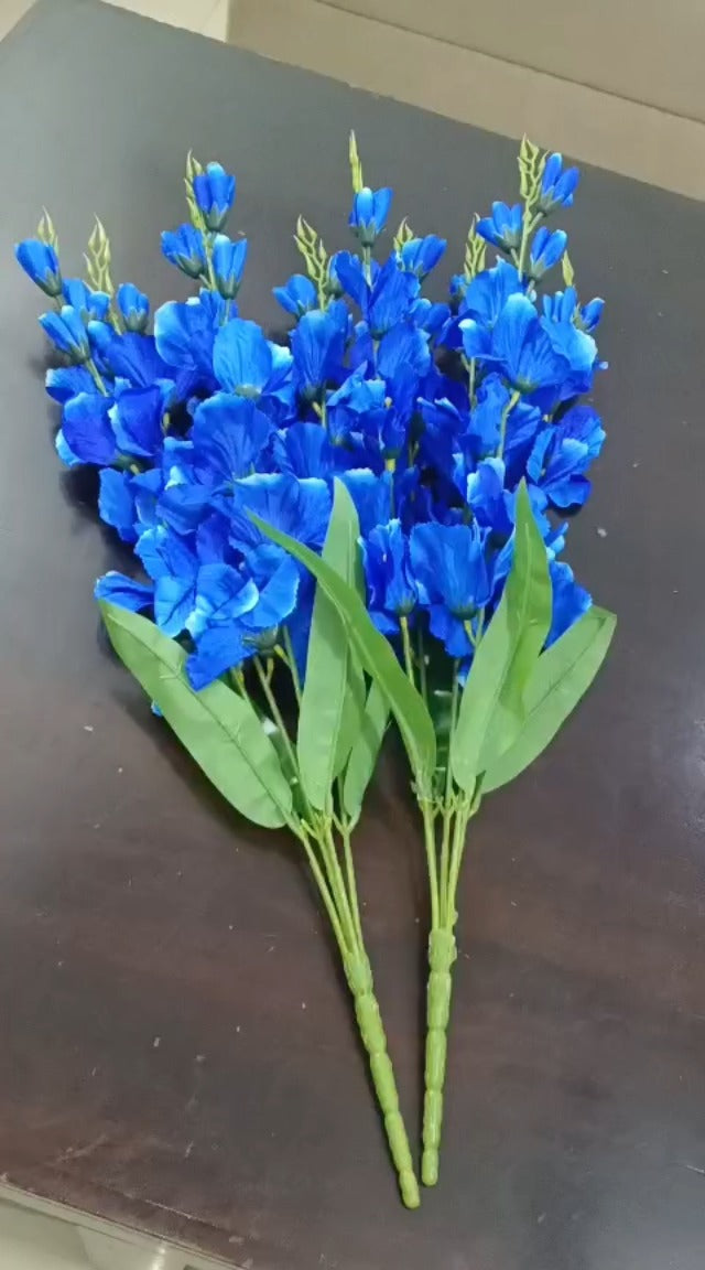 Dark Blue Gladiolus Flower Seeds for Planting – Heirloom, Non-GMO, High Germination Organic Garden Seeds