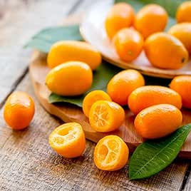 Kumquat Orange fruit seeds for planting - Heirloom & Non-GMO garden seeds, rare yellow variety
