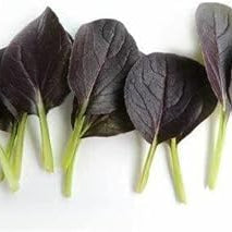 Vegetable Seeds,Garden seeds, Seeds For Planting,Plant Seeds