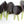 Vegetable Seeds,Garden seeds, Seeds For Planting,Plant Seeds