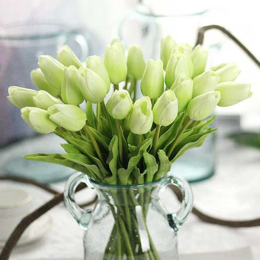 Light Green Tulip Flower Seeds for Planting – Bright Blooms, Heirloom & Non-GMO Seeds