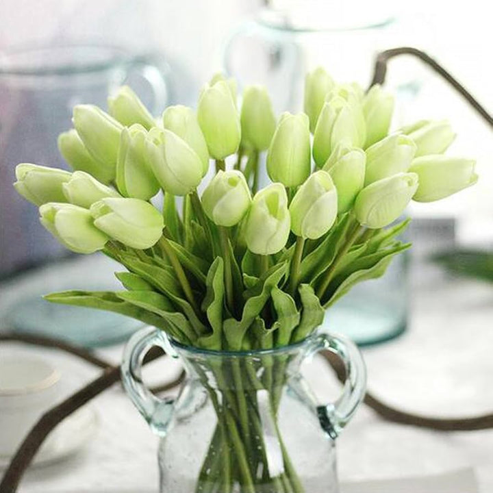 Light Green Tulip Flower Seeds for Planting – Bright Blooms, Heirloom & Non-GMO Seeds
