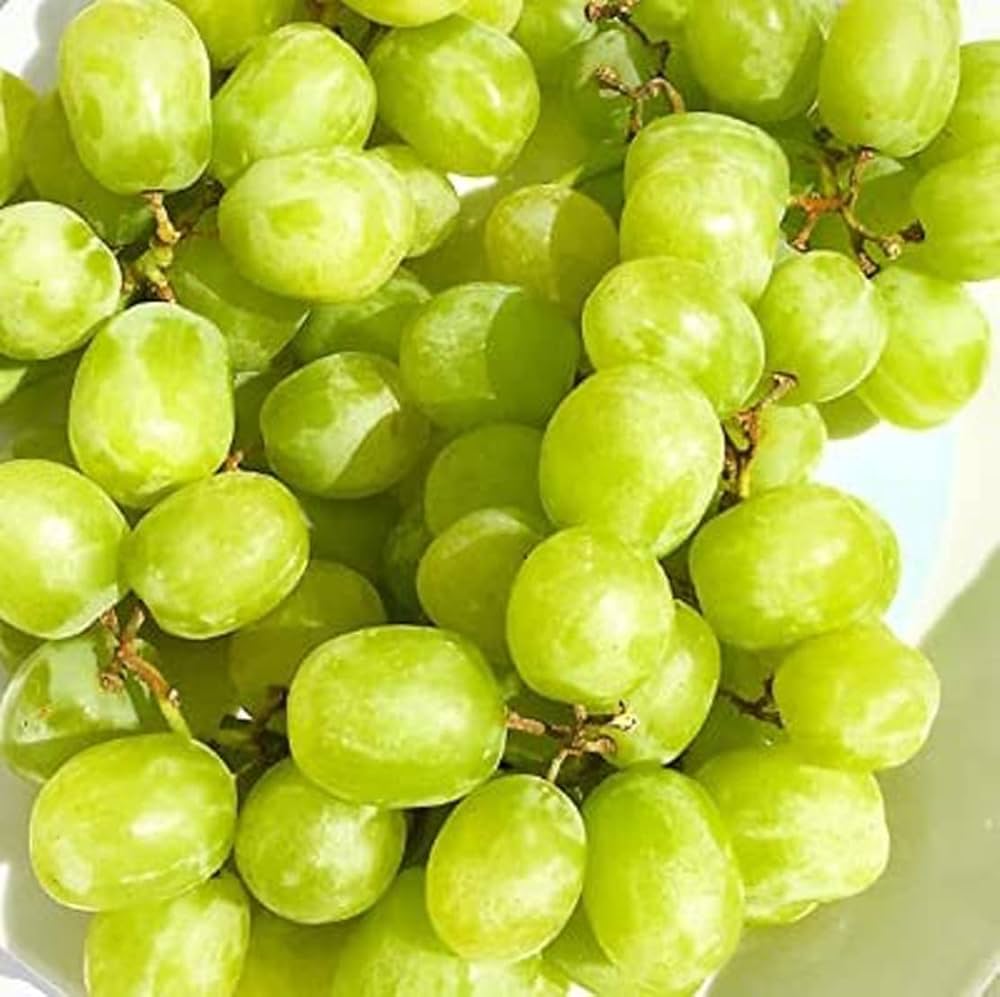 Cotton Candy Grape Fruit Seeds for Planting – Heirloom, Non-GMO for Sw –  Earthechoseeds