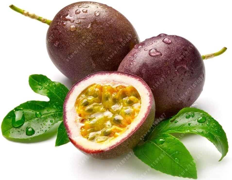 Fruit Seeds,Garden seeds, Seeds For Planting,Plant Seeds