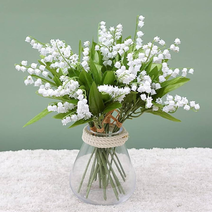 White Windbell Orchid Flower Seeds for Planting – Heirloom Non-GMO, High Germination Organic Garden Seeds