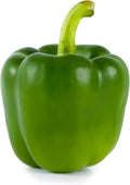 Bell Pepper California Wonder Seeds – High Yield, Sweet & Crisp Heirloom Variety