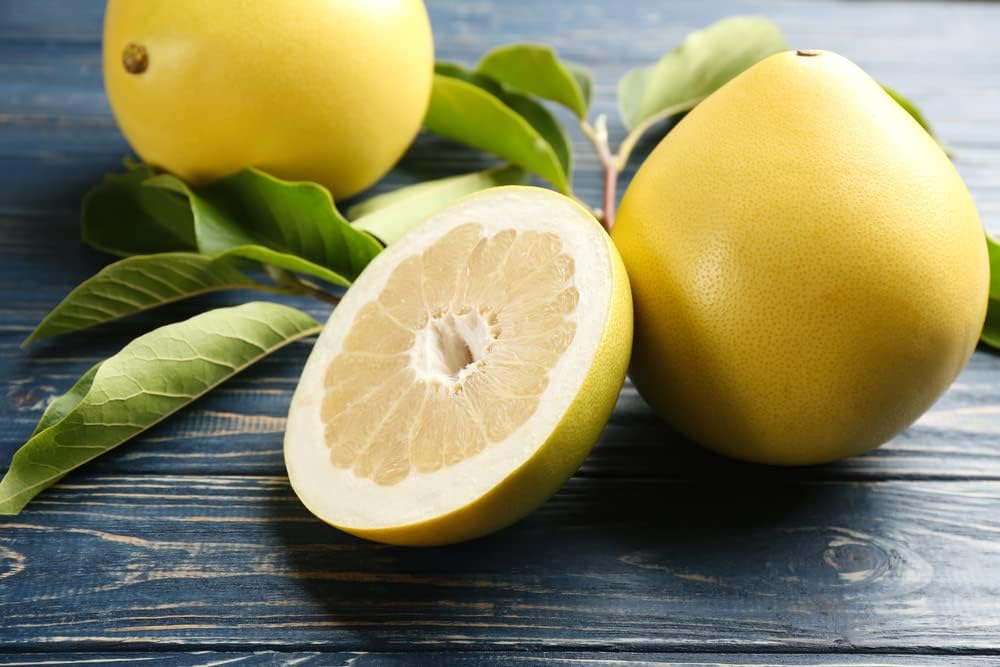Citrus Maxima Pomelo Fruit Seeds for Planting – Heirloom, Non-GMO Tropical Orchard Garden Seeds