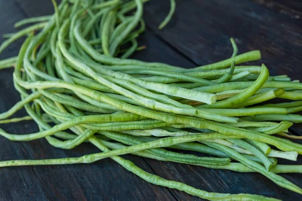 Green Asparagus Bean Vegetable Seeds for Planting – Heirloom & Non-GMO Garden Seeds