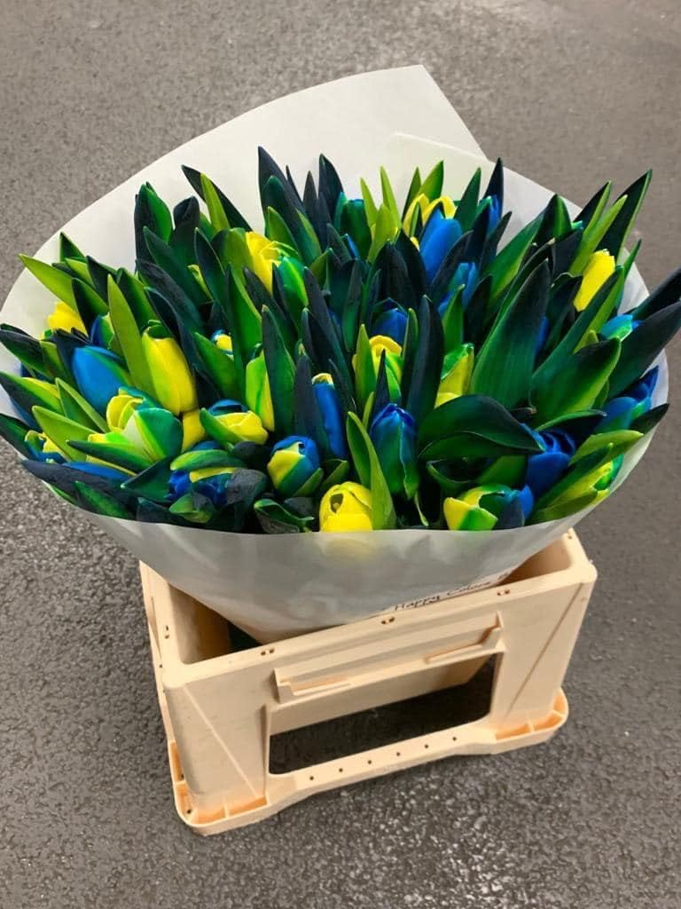 Flower Seeds, Seeds,Seeds For Planting,Plant Seeds