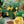 Herb Seeds,Garden seeds, Seeds For Planting,Plant Seeds