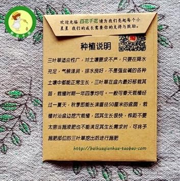 Flower Seeds, Seeds,Seeds For Planting,Plant Seeds