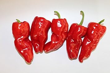 Vegetable Seeds,Garden seeds, Seeds For Planting,Plant Seeds