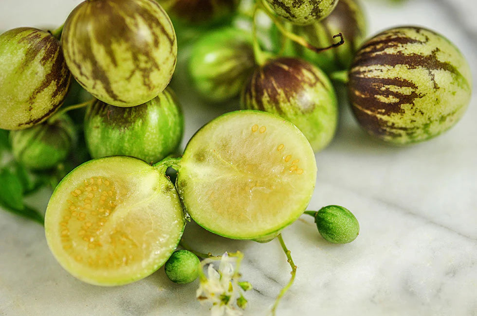 Melon Pear Fruit Seeds for Planting – Heirloom, Non-GMO, Unique Juicy Garden Treat Seeds