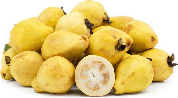 Fruit Seeds,Garden seeds, Seeds For Planting,Plant Seeds