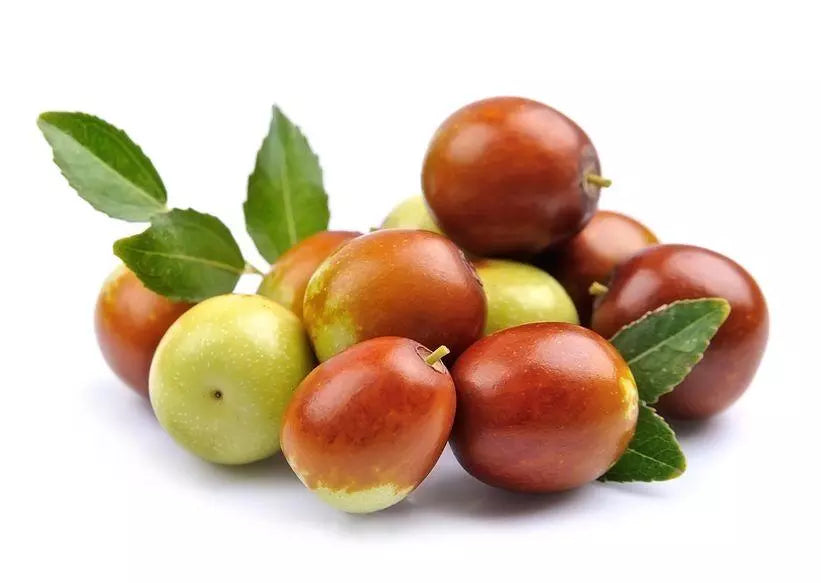 Mixed Jujube Fruit Seeds for Planting – Heirloom, Non-GMO Diverse Garden Fruit Seeds for High Yields