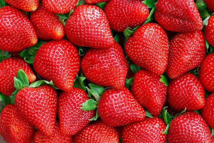 Large Strawberry Fruit seeds for planting – Heirloom & Non-GMO Garden seeds