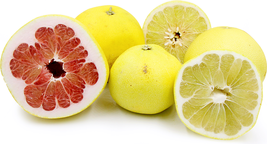 Yellow Pomelo Fruit Seeds for Planting – Heirloom, Non-GMO Large Juicy Citrus Garden Seeds