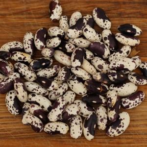 Black & White Troot Bean Seeds for Planting – Heirloom & Non-GMO Striking and Unique Harvest Variety