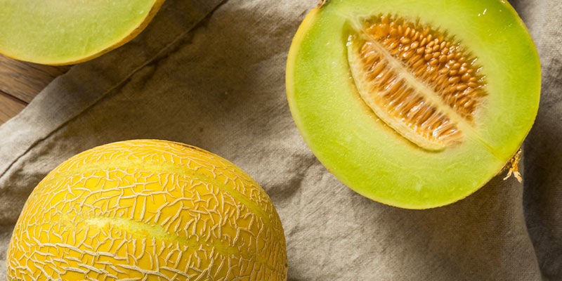 Lemon Drop Melon Seeds for Planting – Heirloom & Non-GMO Citrusy Fruit Seeds for Refreshing Harvests