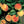 Babcock Peach Fruit Seeds for Planting – Heirloom, Non-GMO, Sweet Yellow-Red Orchard Tree Seeds