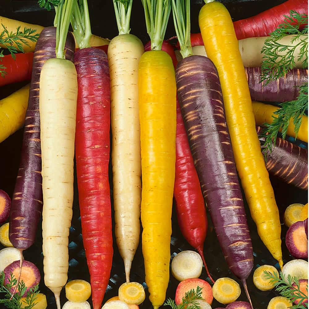 Mixed Carrot Vegetable Seeds for Planting – Heirloom &amp; Non-GMO Garden Seeds