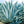Flower Seeds, Seeds,Seeds For Planting,Plant Seeds