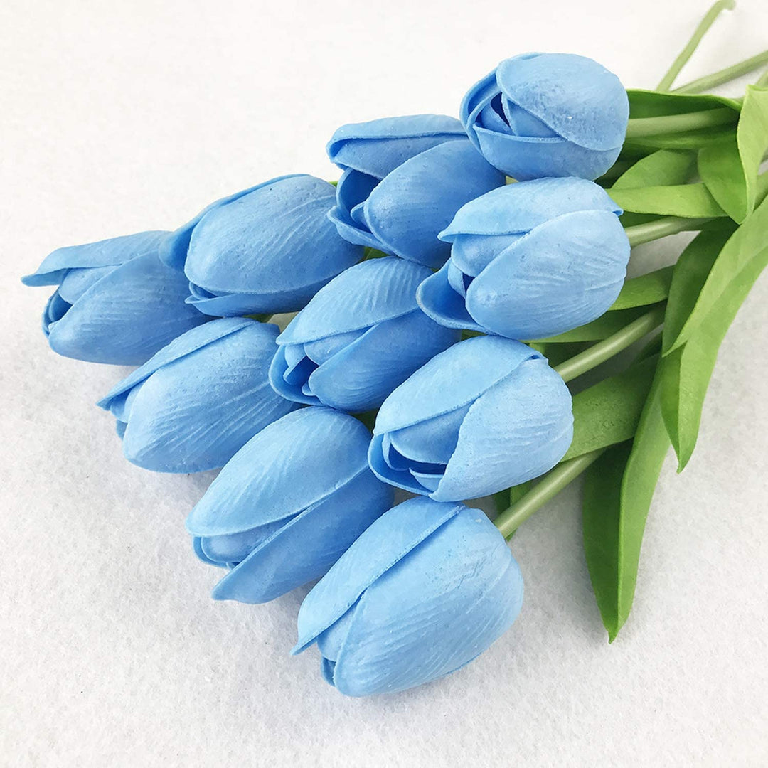 Sky Blue Tulip Flower Seeds for Planting – Heirloom, Non-GMO, Hardy High Germination Organic Garden Seeds