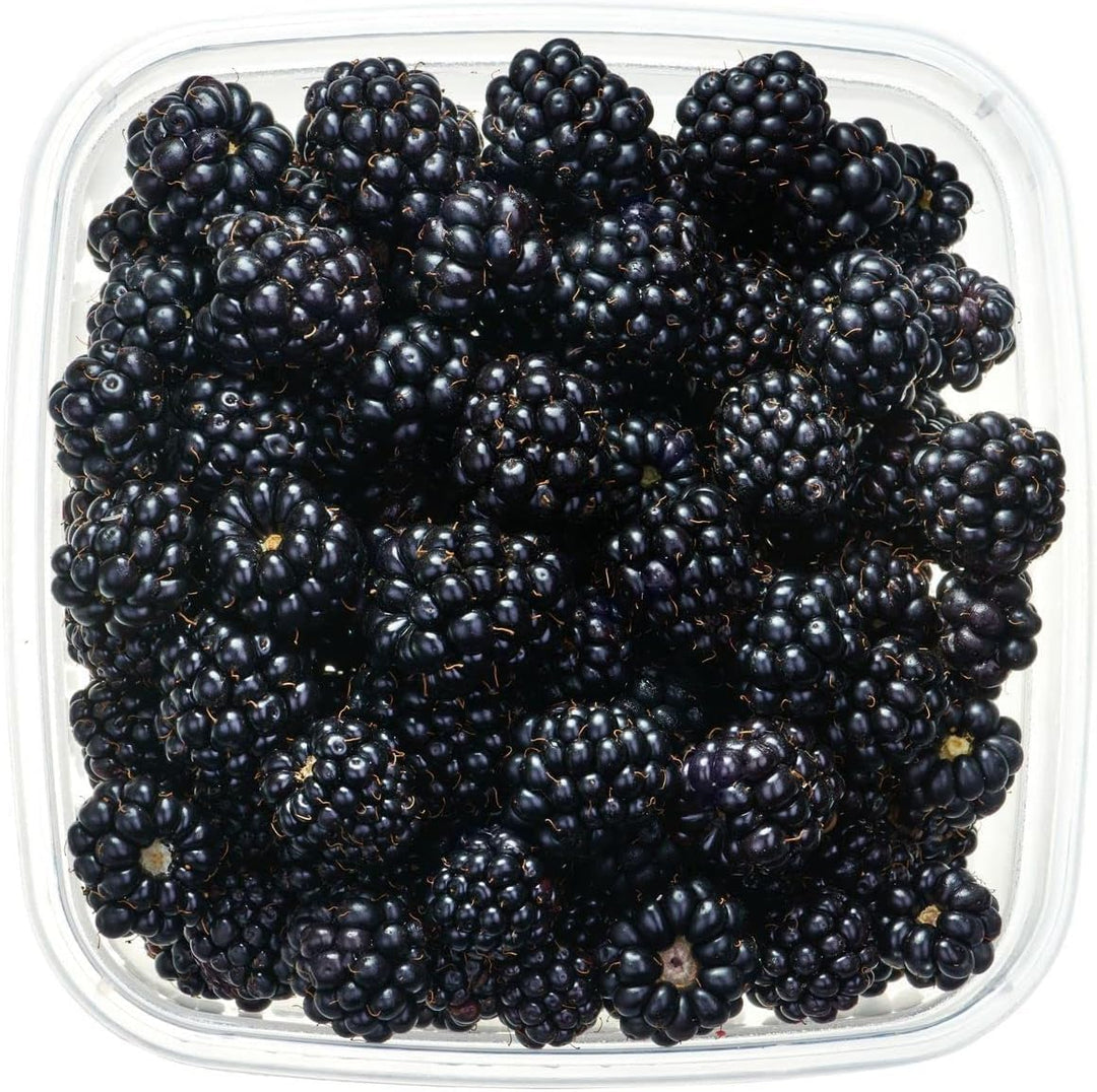 Dewberry Blackberry Seeds – Heirloom Non-GMO Pollinator-Friendly Garden Planting