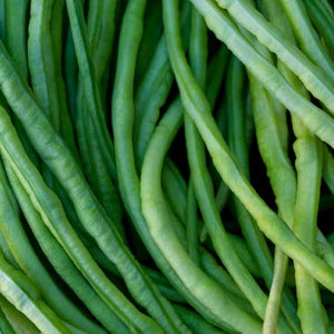 Vegetable Seeds,Garden seeds, Seeds For Planting,Plant Seeds