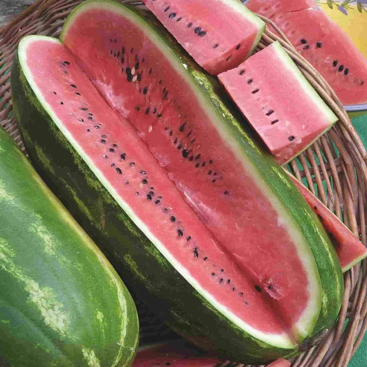 Light Green Watermelon seeds for planting - Heirloom & Non-GMO crisp summer fruit garden seeds