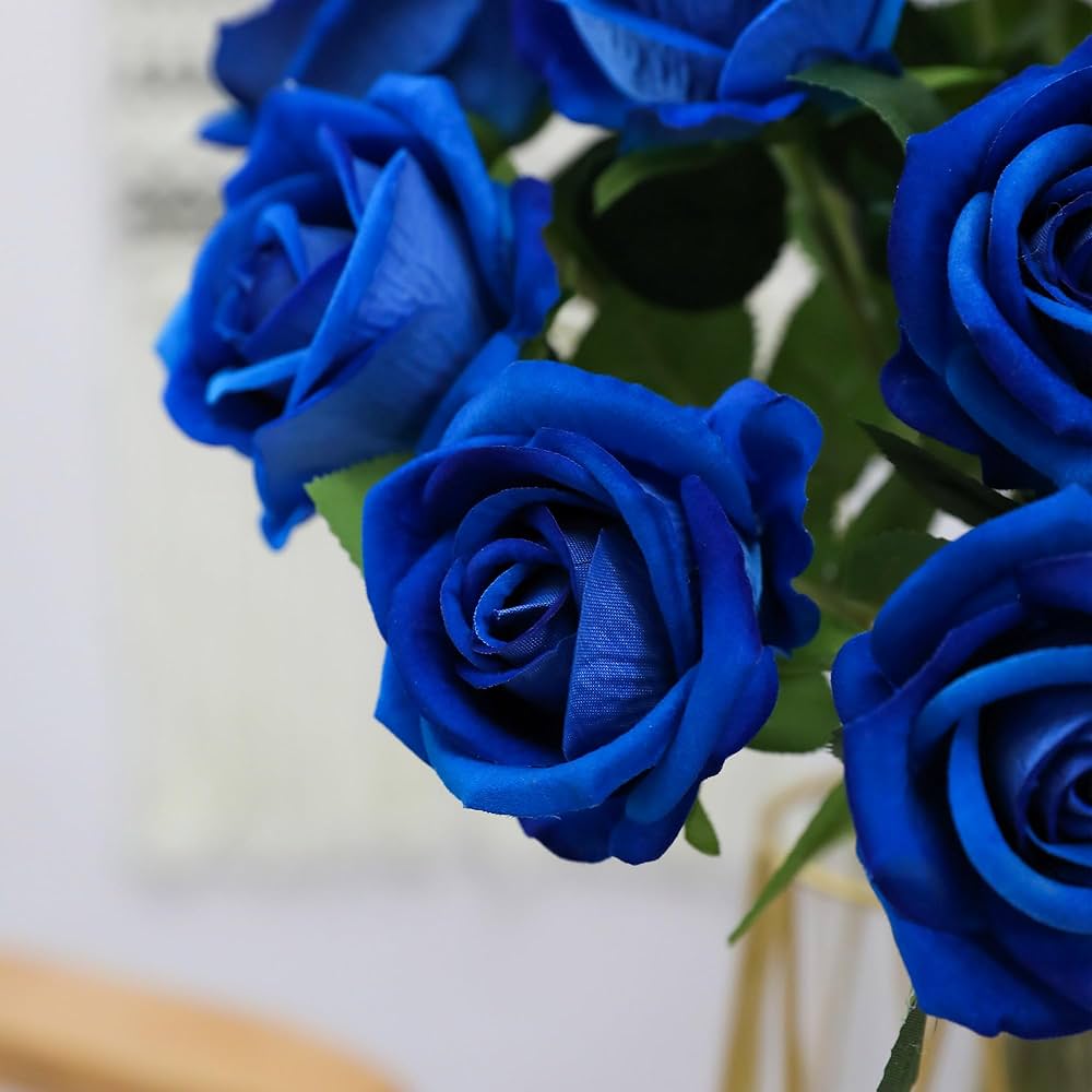 Blue Germany Rose Flower Seeds for Planting – Heirloom, Non-GMO, High Germination Organic Garden Seeds