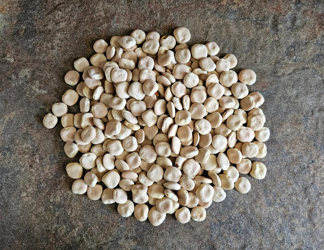 Lupine Flower seeds for Planting - Wildflower Mix, Heirloom & GMO Free Seeds for Home Garden
