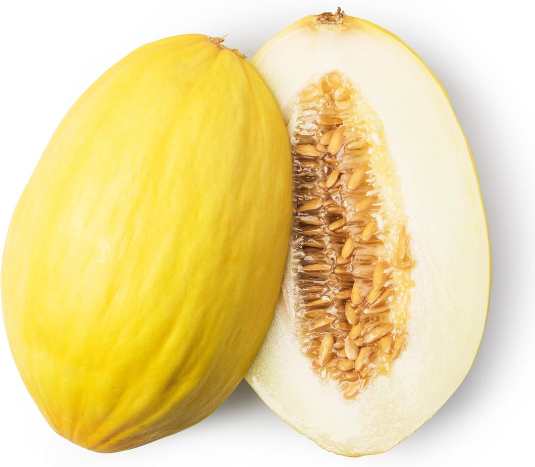 Yellow Cucumis Melo fruit seeds for planting - Heirloom & Non-GMO Garden seeds, refreshing melon variety for gardens