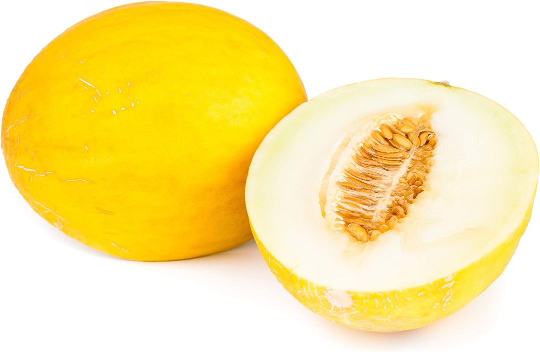 Yellow Canary Melon fruit seeds for planting – Heirloom & Non-GMO garden seeds for sweet refreshing harvest