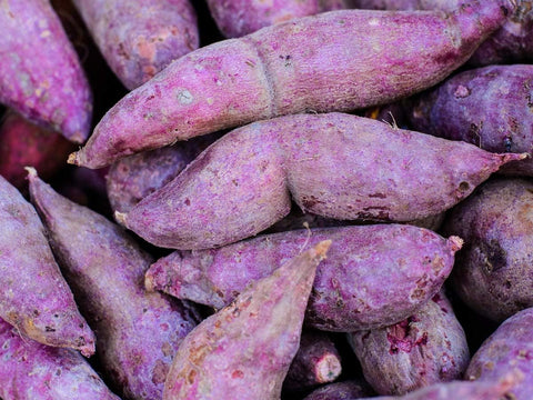 Vegetable Seeds,Garden seeds, Seeds For Planting,Plant Seeds