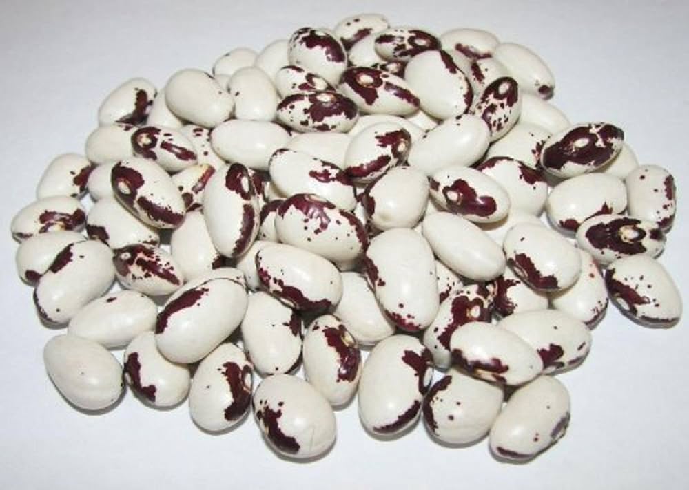 Orca Bean Plant Seeds for Planting – Heirloom & Non-GMO, High Germination Organic Seeds for Protein-Rich Home Garden Crops