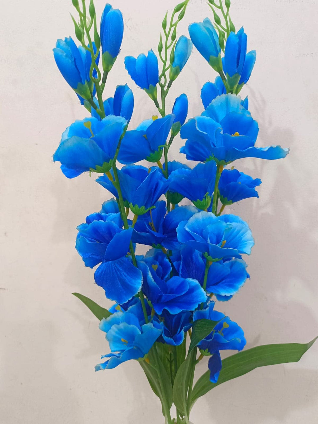 Dark Blue Gladiolus Flower Seeds for Planting – Heirloom, Non-GMO, High Germination Organic Garden Seeds