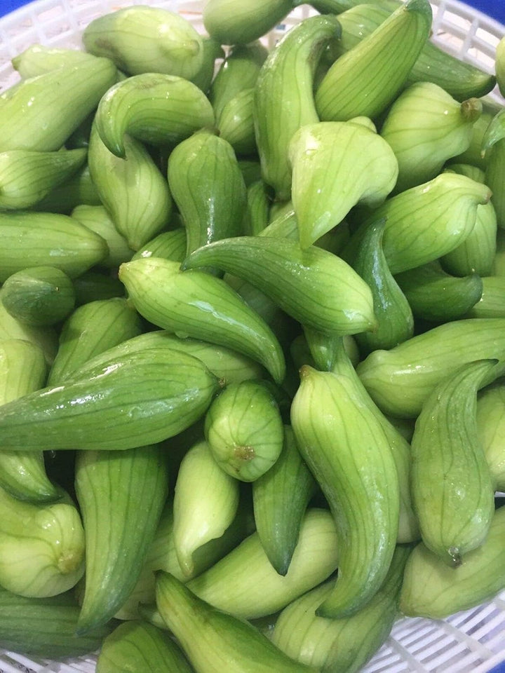 Vegetable Seeds,Garden seeds, Seeds For Planting,Plant Seeds