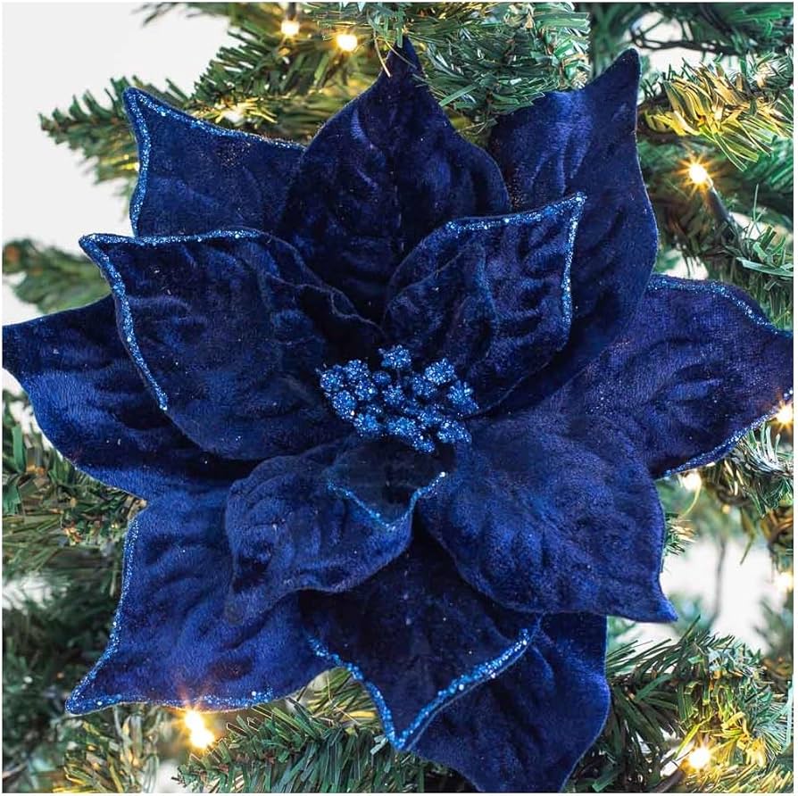 Deep Blue Poinsettia Flower Seeds for Planting – Heirloom, Non-GMO, Lo –  Earthechoseeds