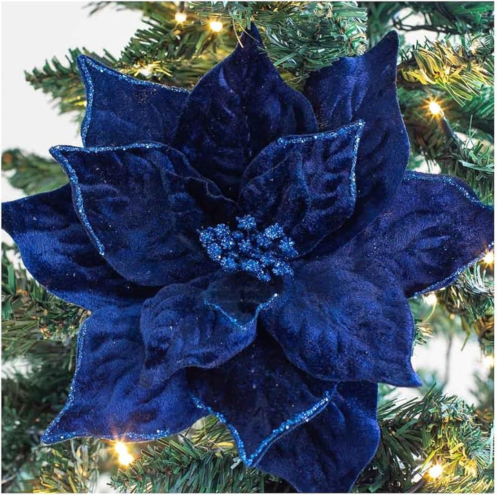 Deep Blue Poinsettia Flower Seeds for Planting – Heirloom, Non-GMO, Long Bloom Season, High Germination