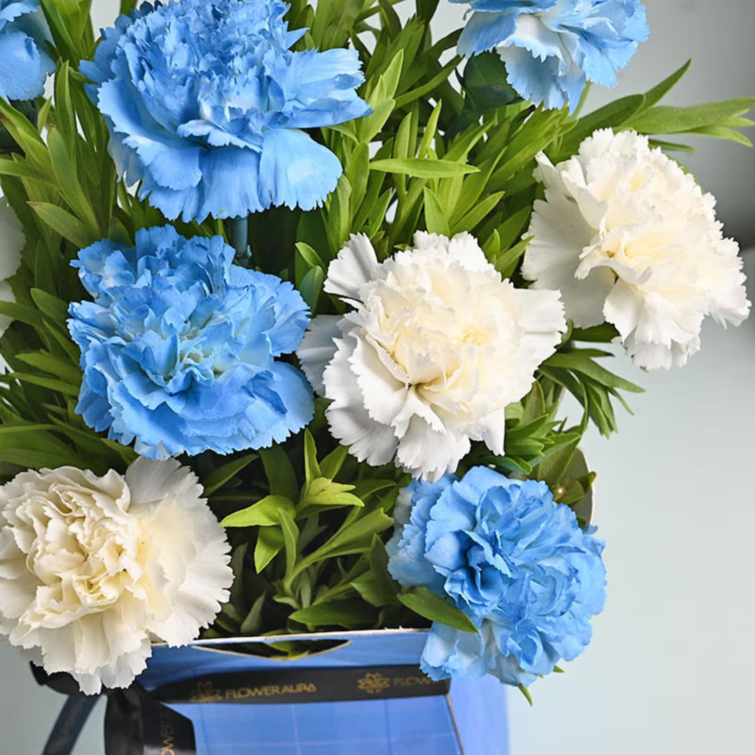 White Blue Carnation Flower Seeds for Planting – Colorful Display, Heirloom, Non-GMO Home Garden
