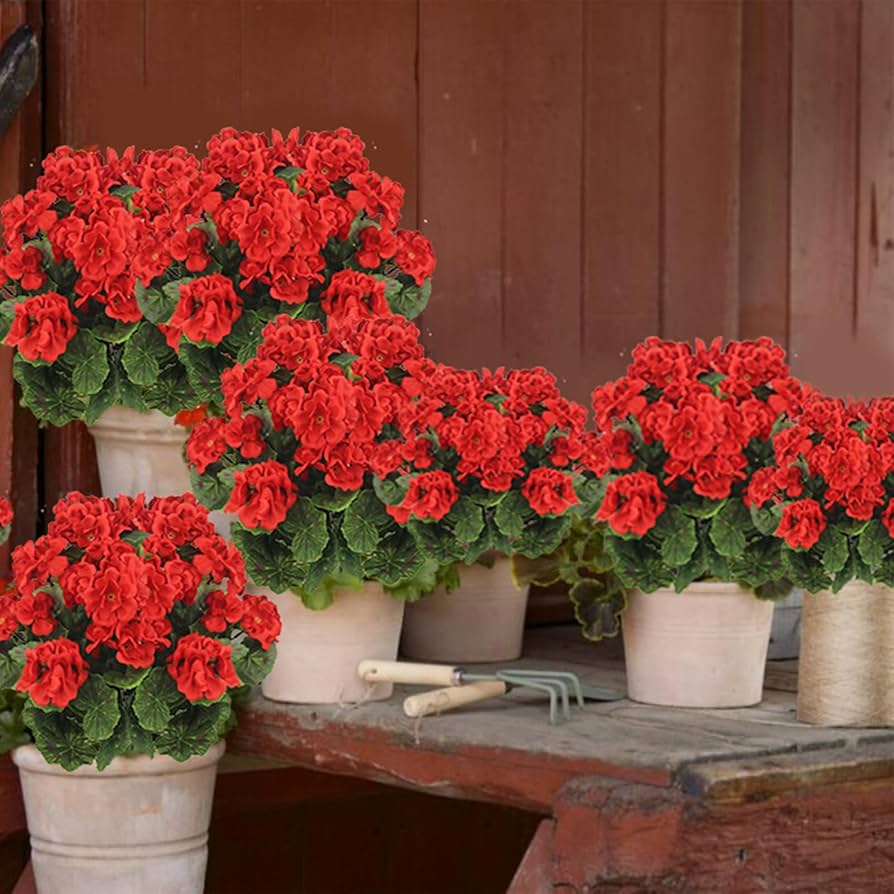 Red Geraniums Flower Seeds for Planting – Heirloom, Non-GMO, High Germination Organic Garden Seeds