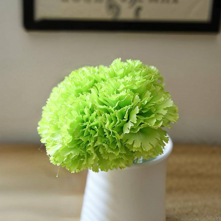 Green Carnation Flower Seeds for Planting – Long Bloom Season, Heirloom & Non-GMO Garden Seeds