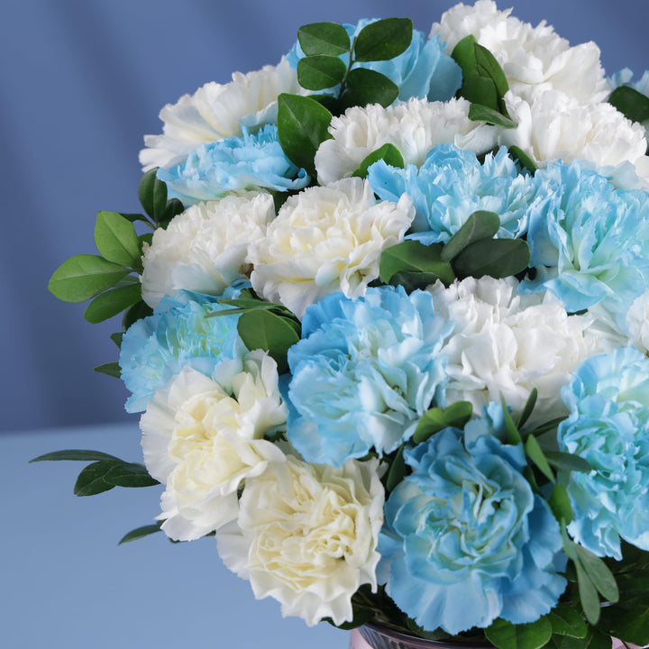 White Blue Carnation Flower Seeds for Planting – Colorful Display, Heirloom, Non-GMO Home Garden