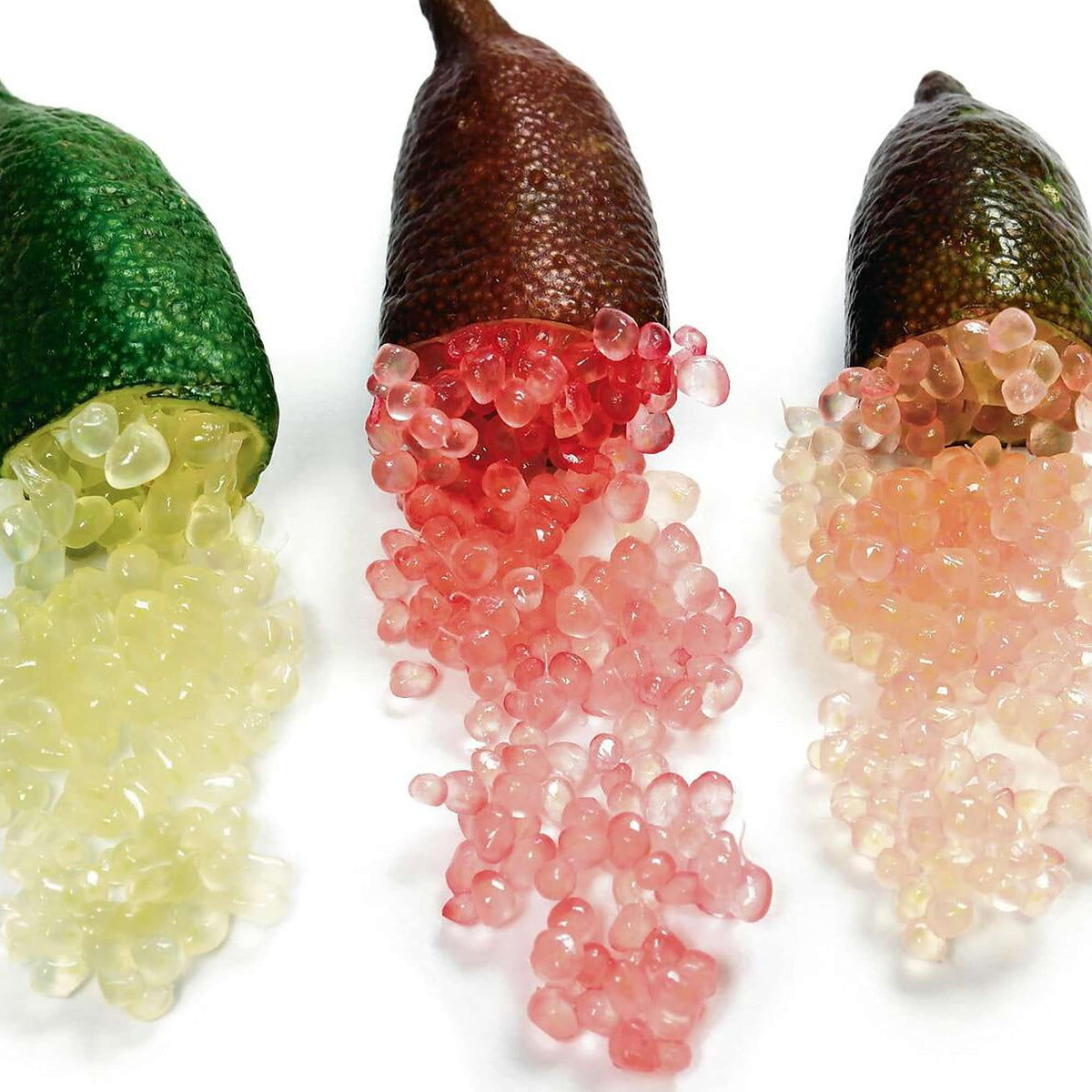 Collette Finger Lime fruit seeds for planting - Heirloom & Non-GMO Garden seeds for citrus lovers